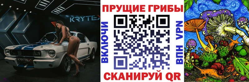Псилоцибиновые грибы ЛСД  Тавда 
