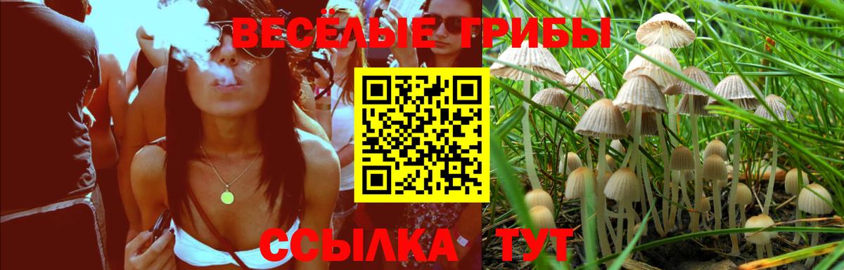 Галлюциногенные грибы мицелий  Псилоцибиновые грибы прущие грибы  дарнет шоп  Вход с VPN  Тавда 
